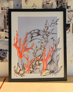 Kolekcjoner korali II