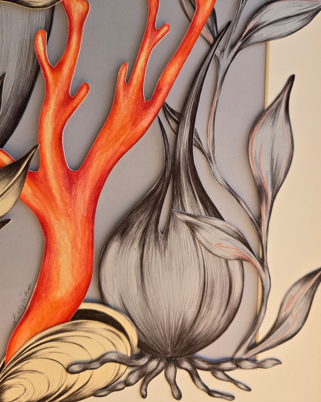 Kolekcjoner korali II